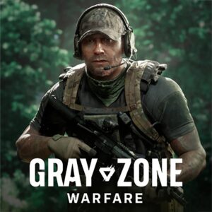 Gray Zone Warefare